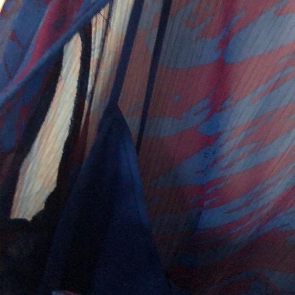 ❤️Sheer Express Zebra Print Dress - Picture 4 of 6